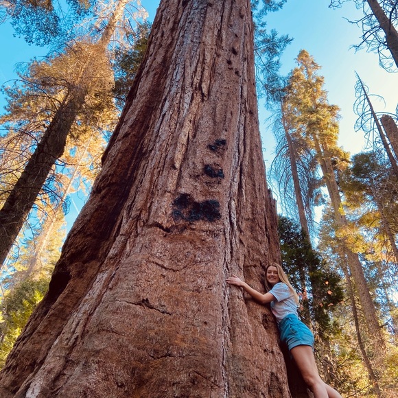 Meet your Posher, Alyssa - Picture 2 of 3